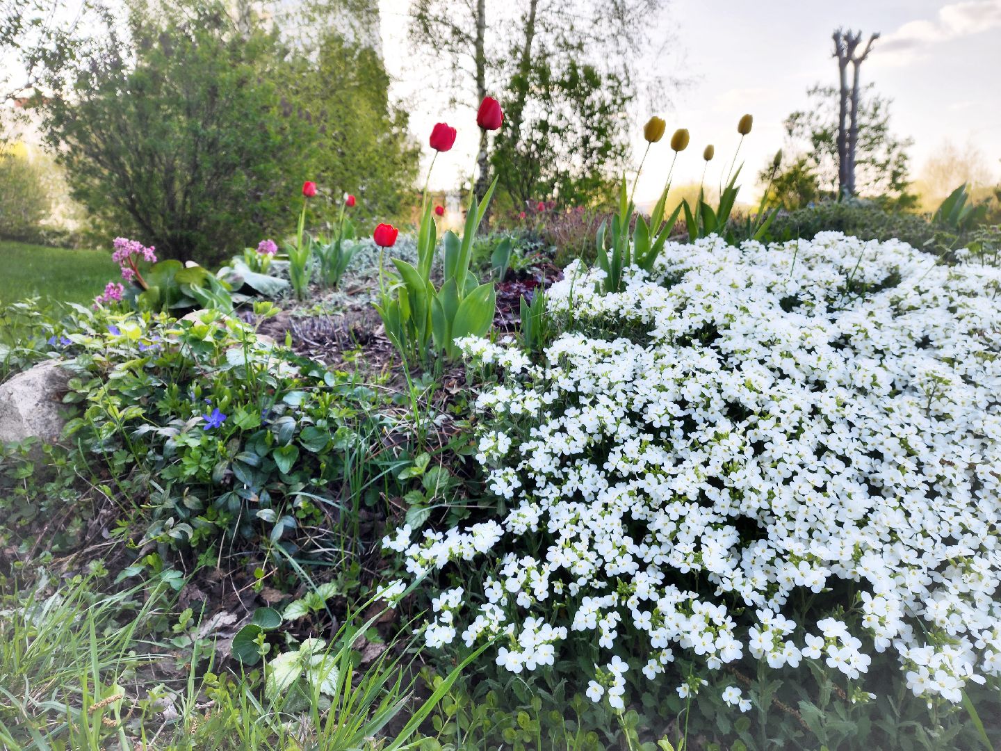 пущино, серпухов, благоустройство, месячник благоустройства,