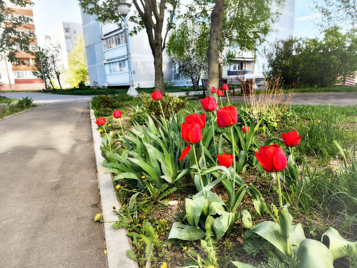пущино, серпухов, благоустройство, месячник благоустройства,