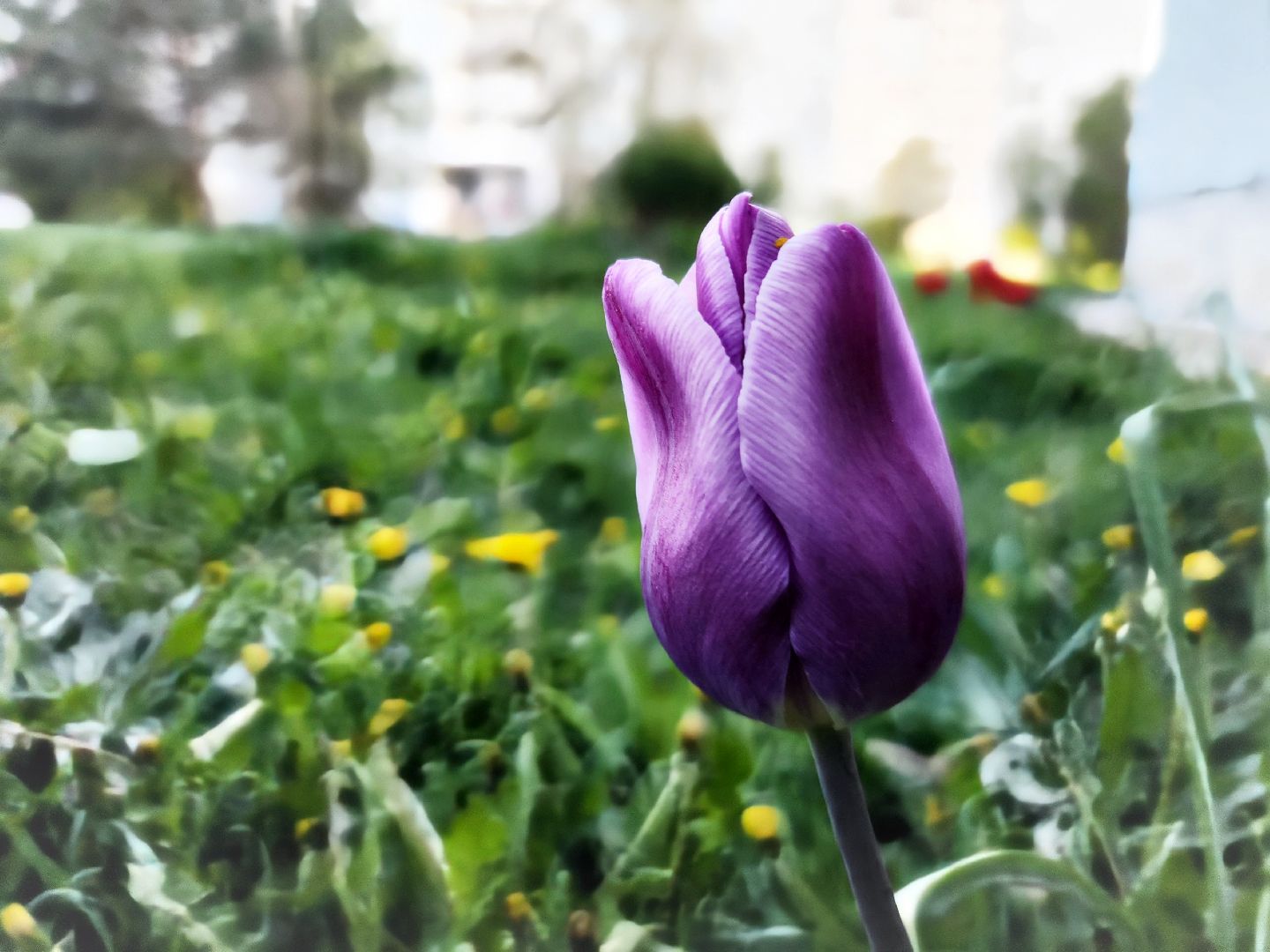 пущино, серпухов, благоустройство, месячник благоустройства,