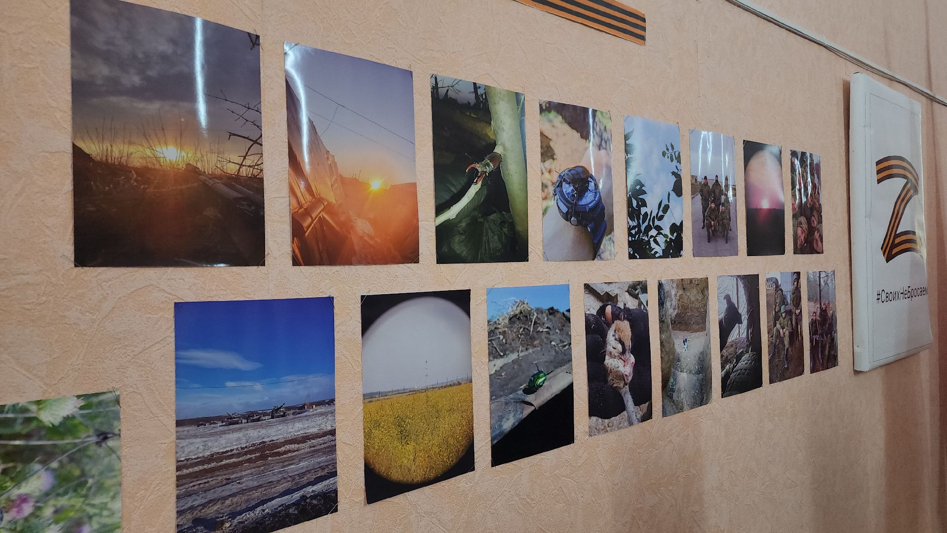 сво выставка, ликино-дулево, орехово-зуевский округ,