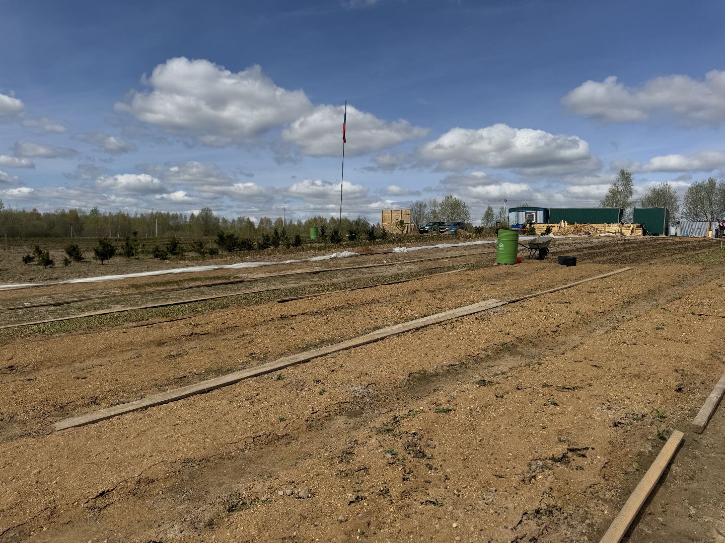 шаховская, кедры, кедры россии,