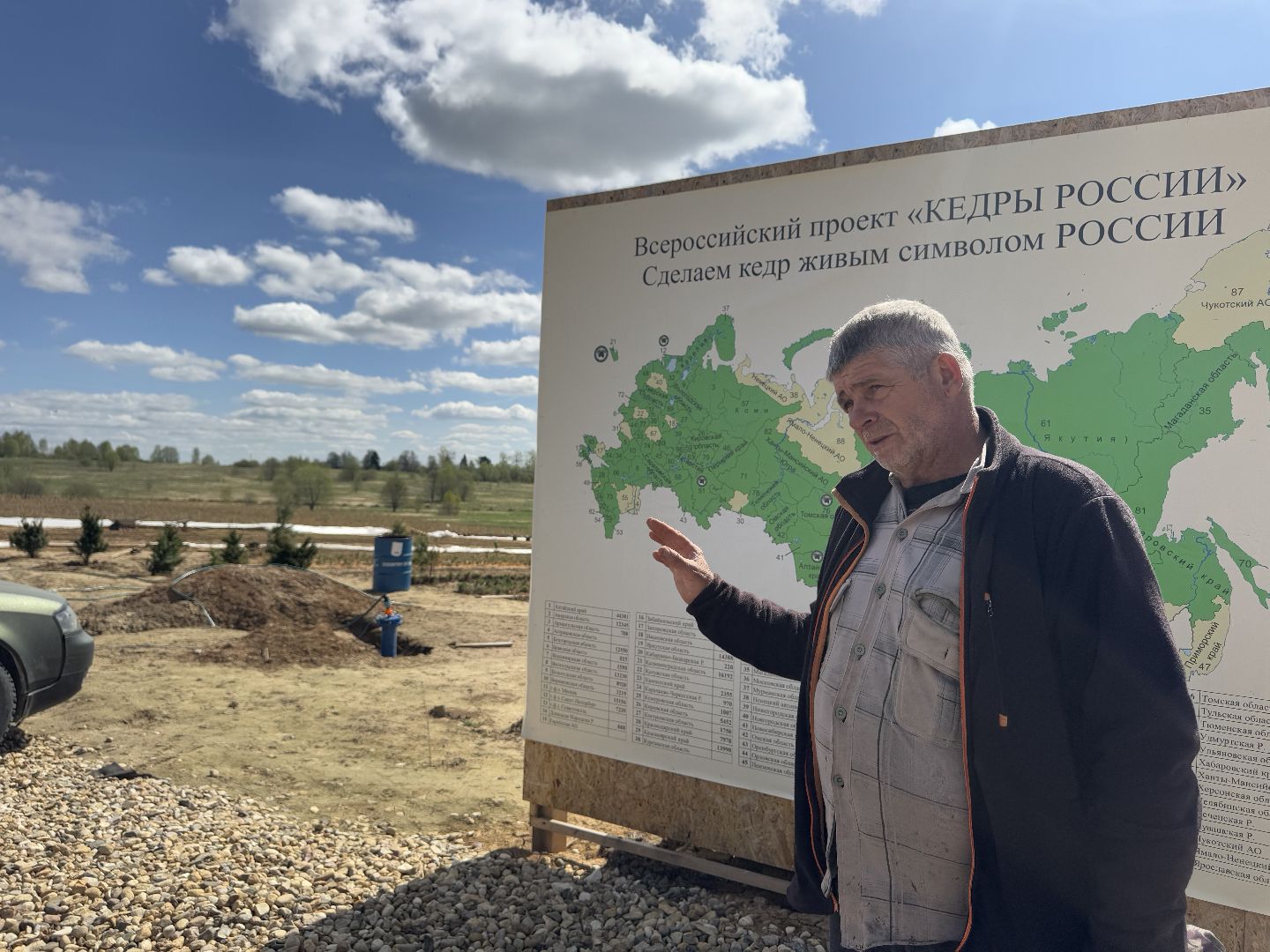 шаховская, кедры, кедры россии,