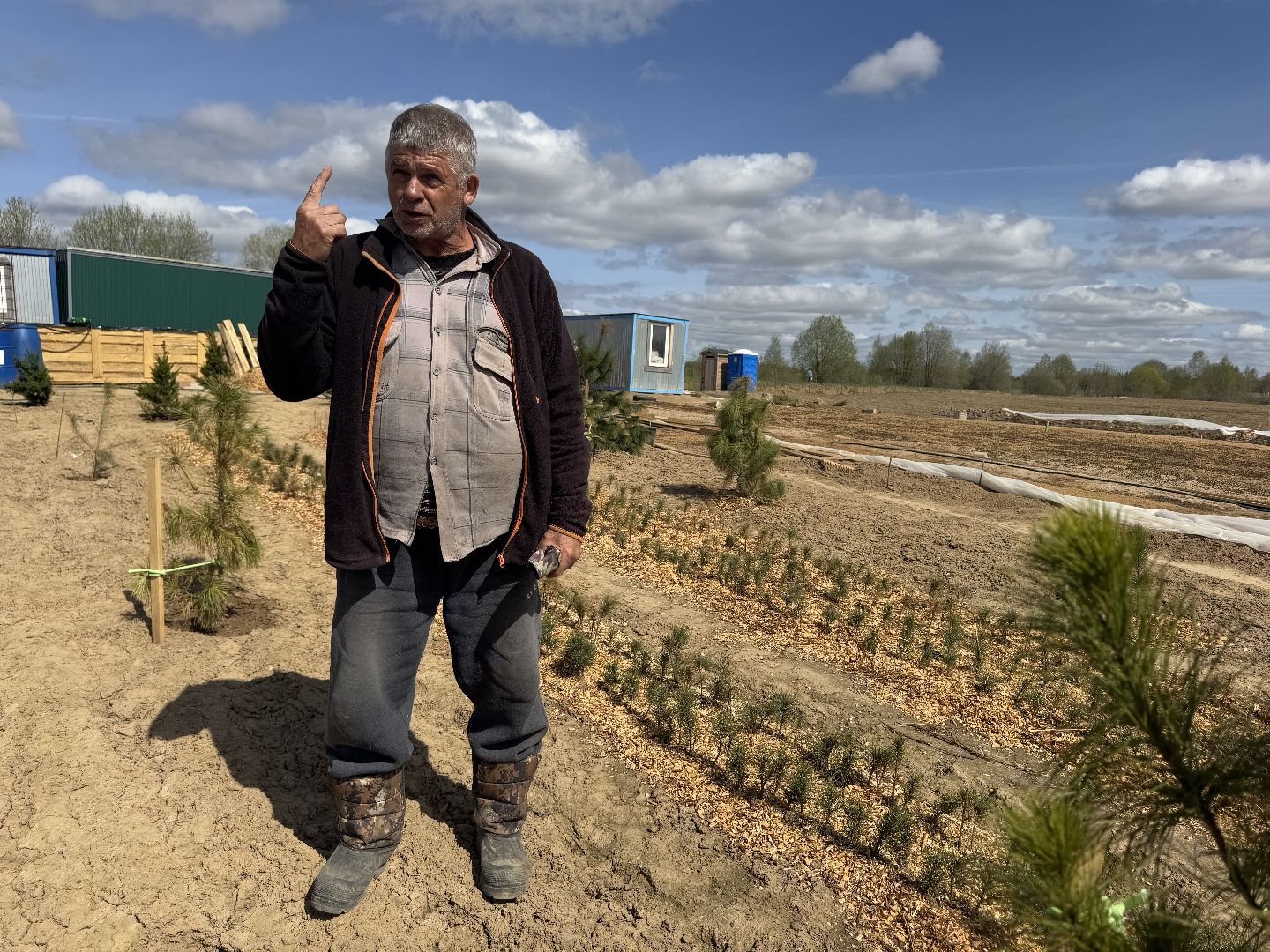 шаховская, кедры, кедры россии,