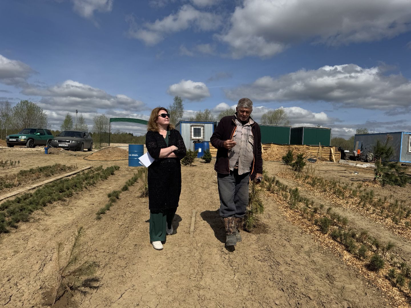 шаховская, кедры, кедры россии,