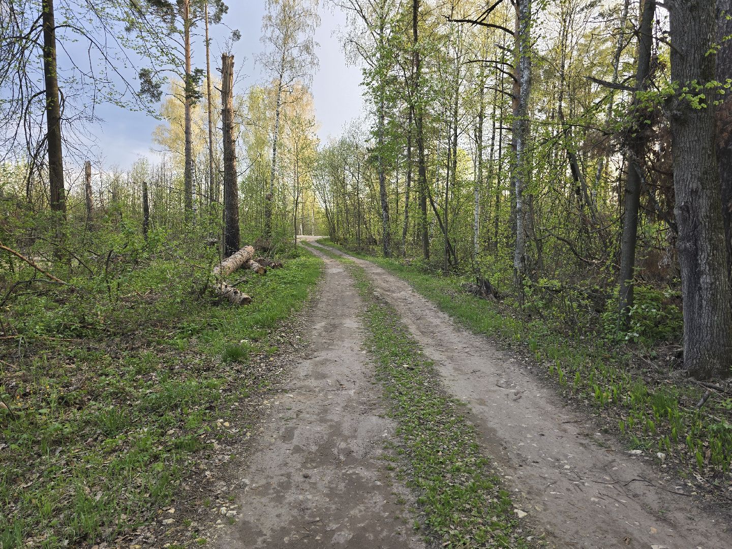 Коломна, выездная администрация, дороги,