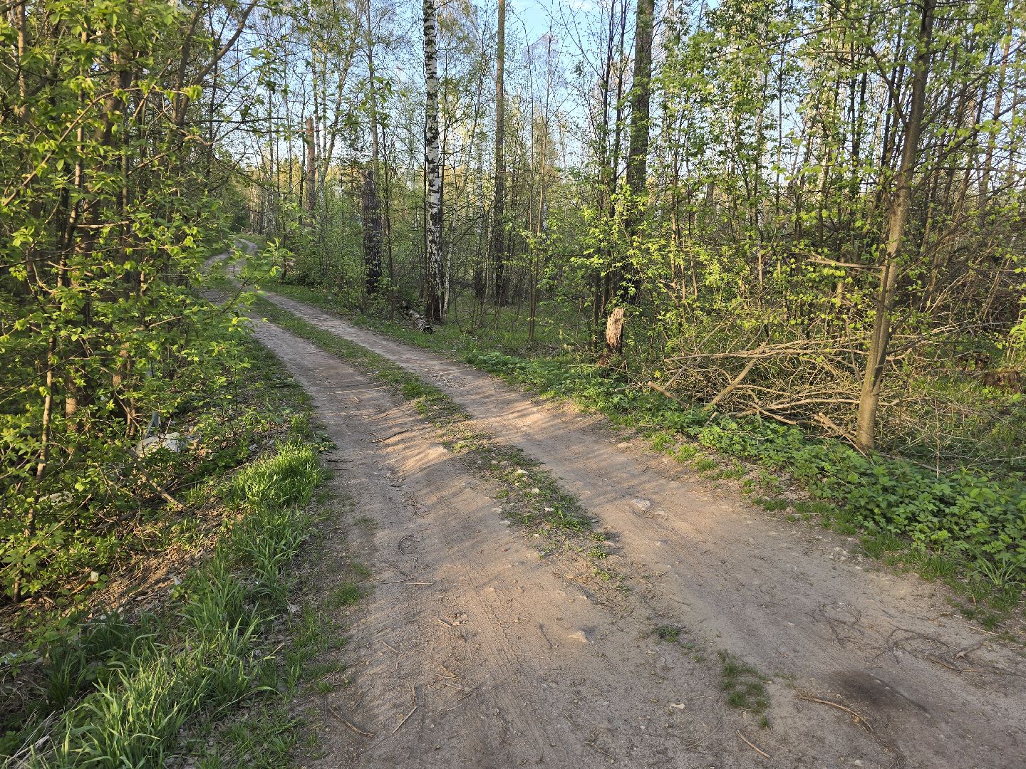 Коломна, выездная администрация, дороги,
