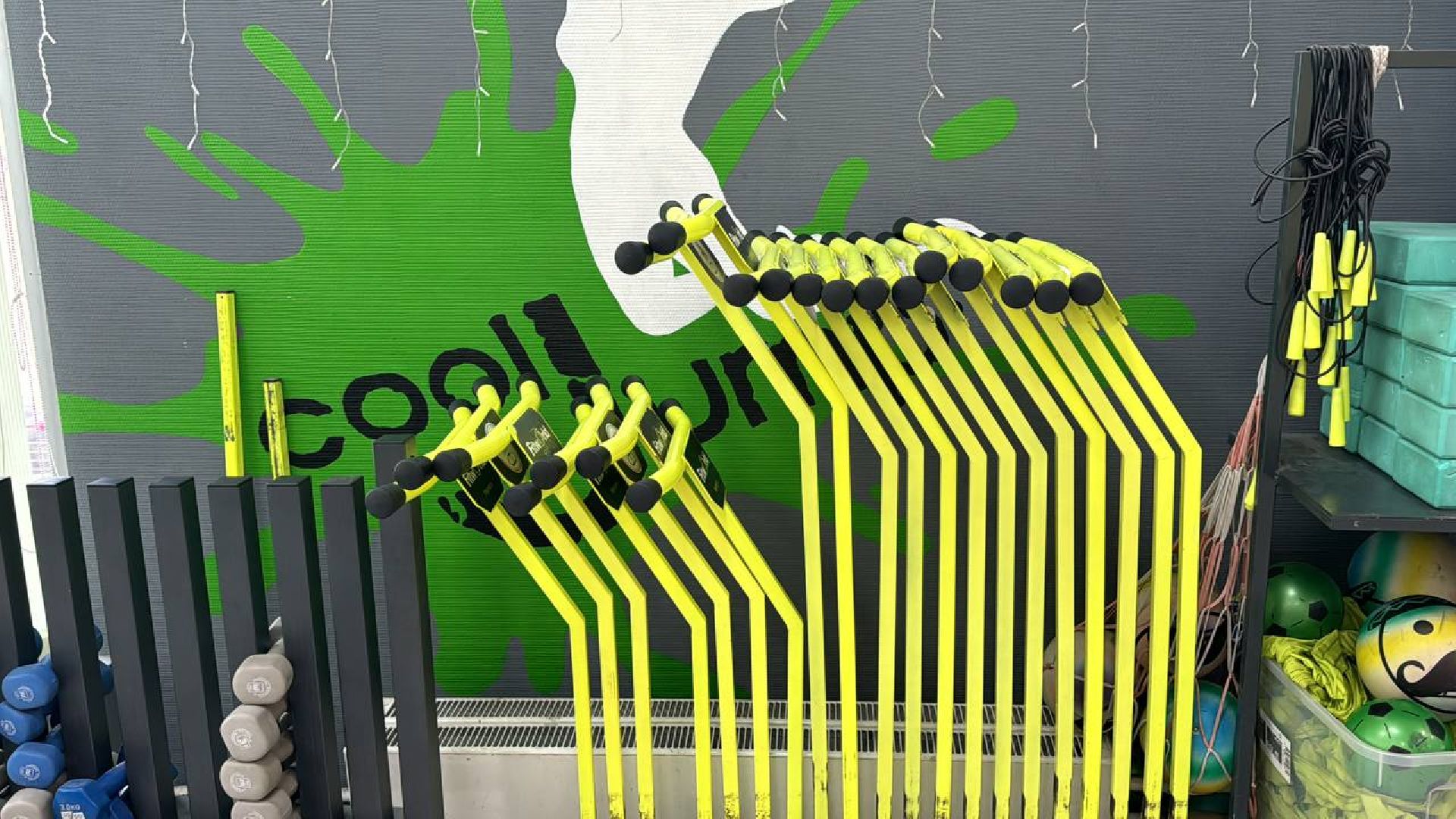 джампинг, тренер, обучение,