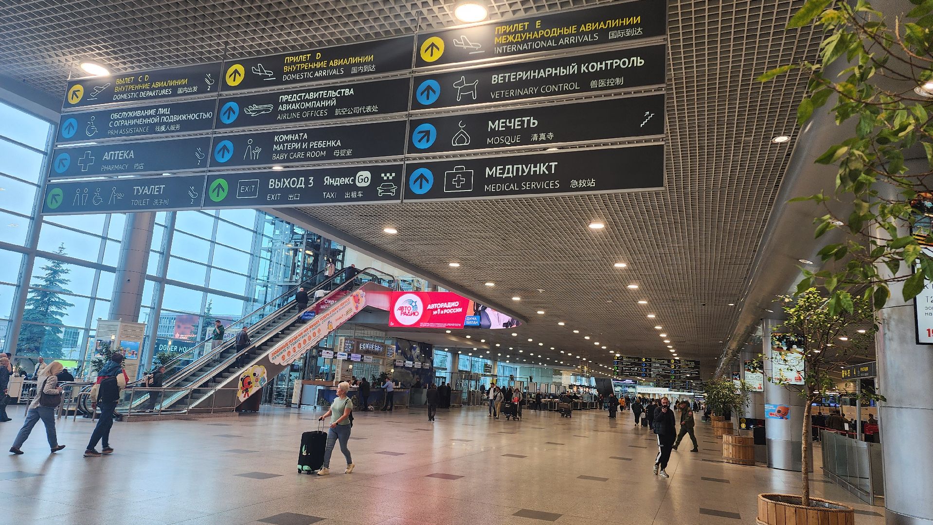 транспорт, аэропорт, домодедово, подмосковье, авиация, рейтинг, безопасность, самолет,  хаб, сервис, пассажир,