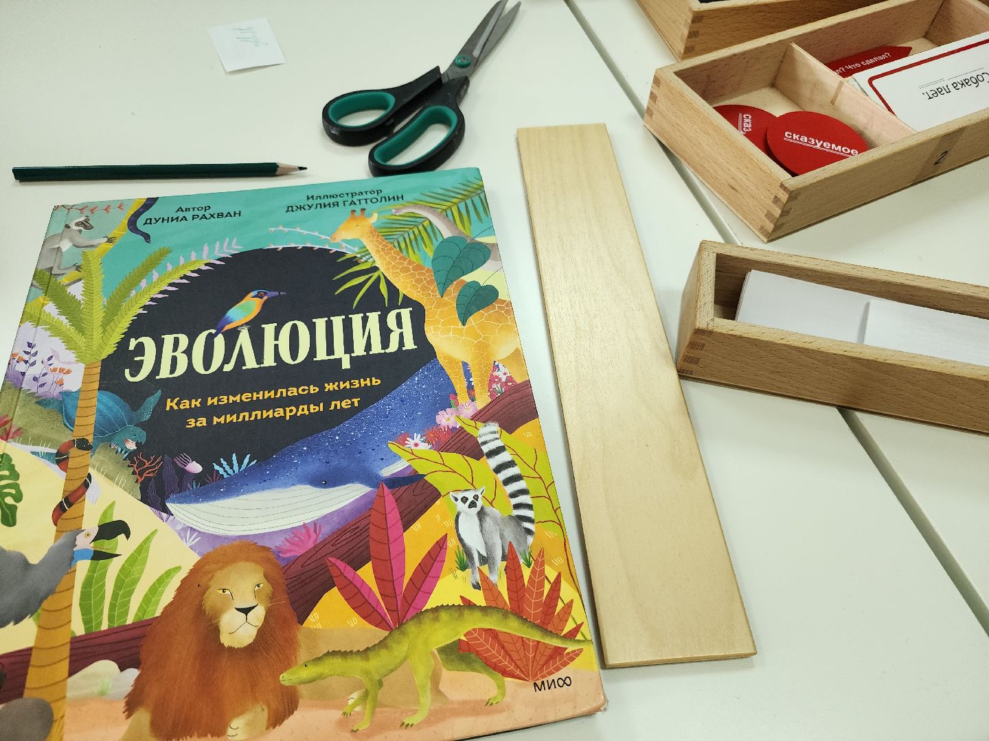 фрязино, образование, дети, монтессори,