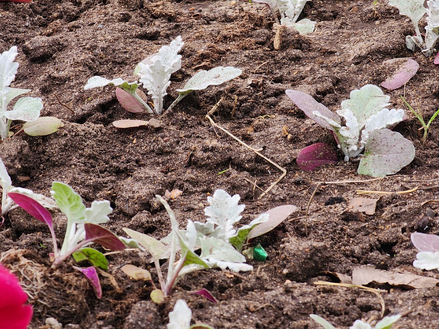 королёв, благоустройство в королеве, мемориал славы в королеве,