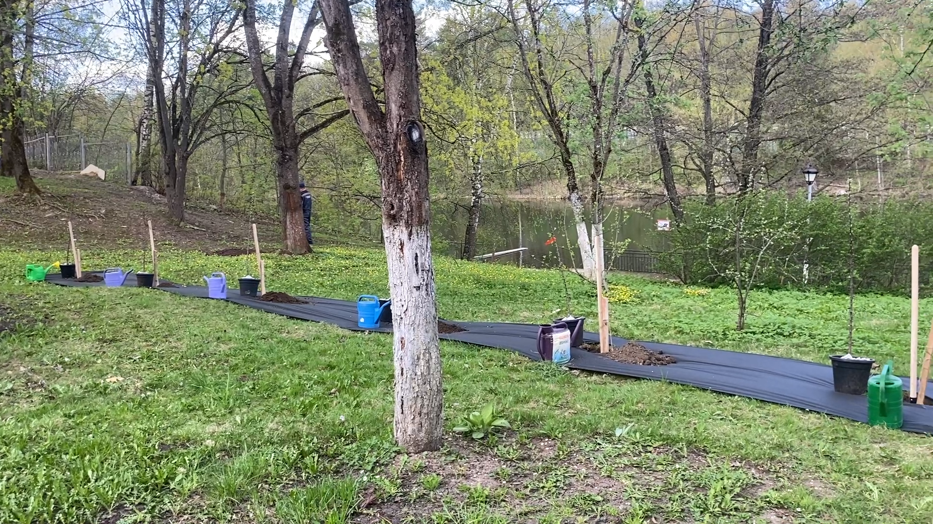 сад победы, посадка деревьев, 80 лет победе, власиха 80 лет вов,