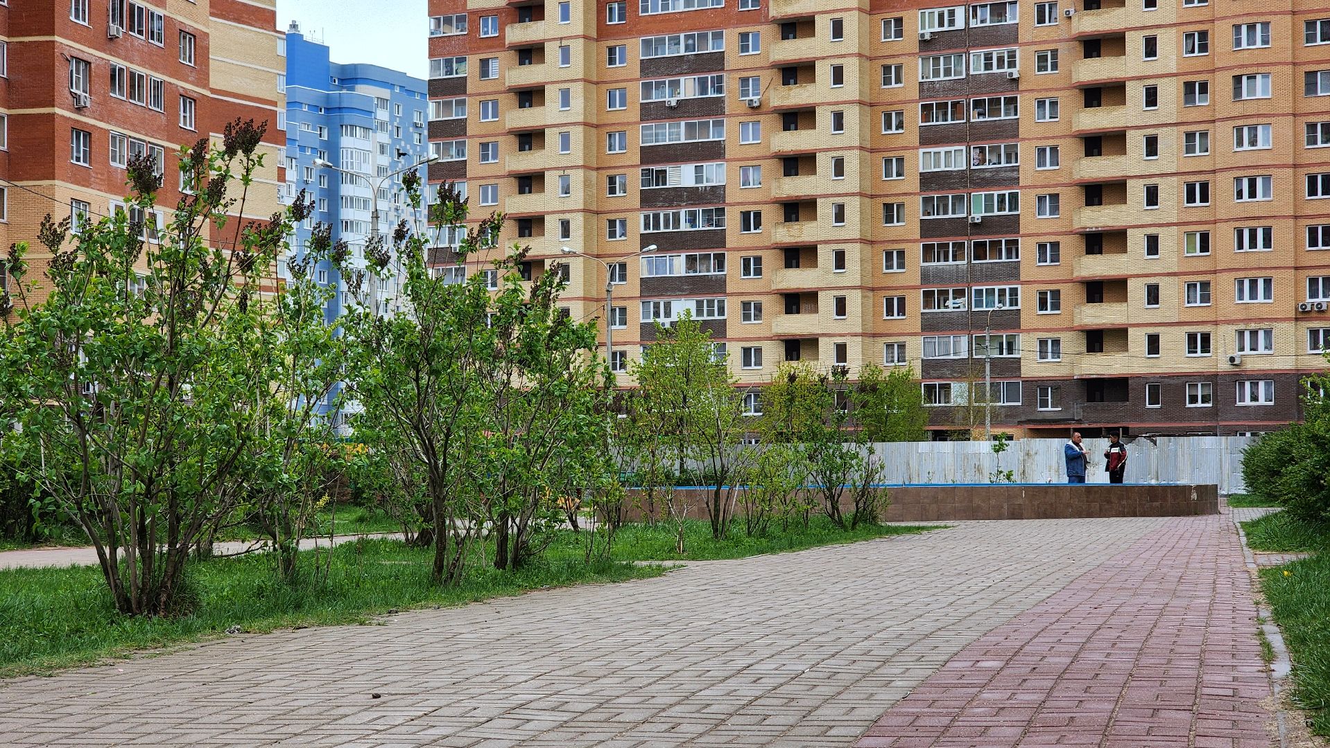 благоустройство, голосование за объекты благоустройства 2026, волонтры, Лосино-Петровский,