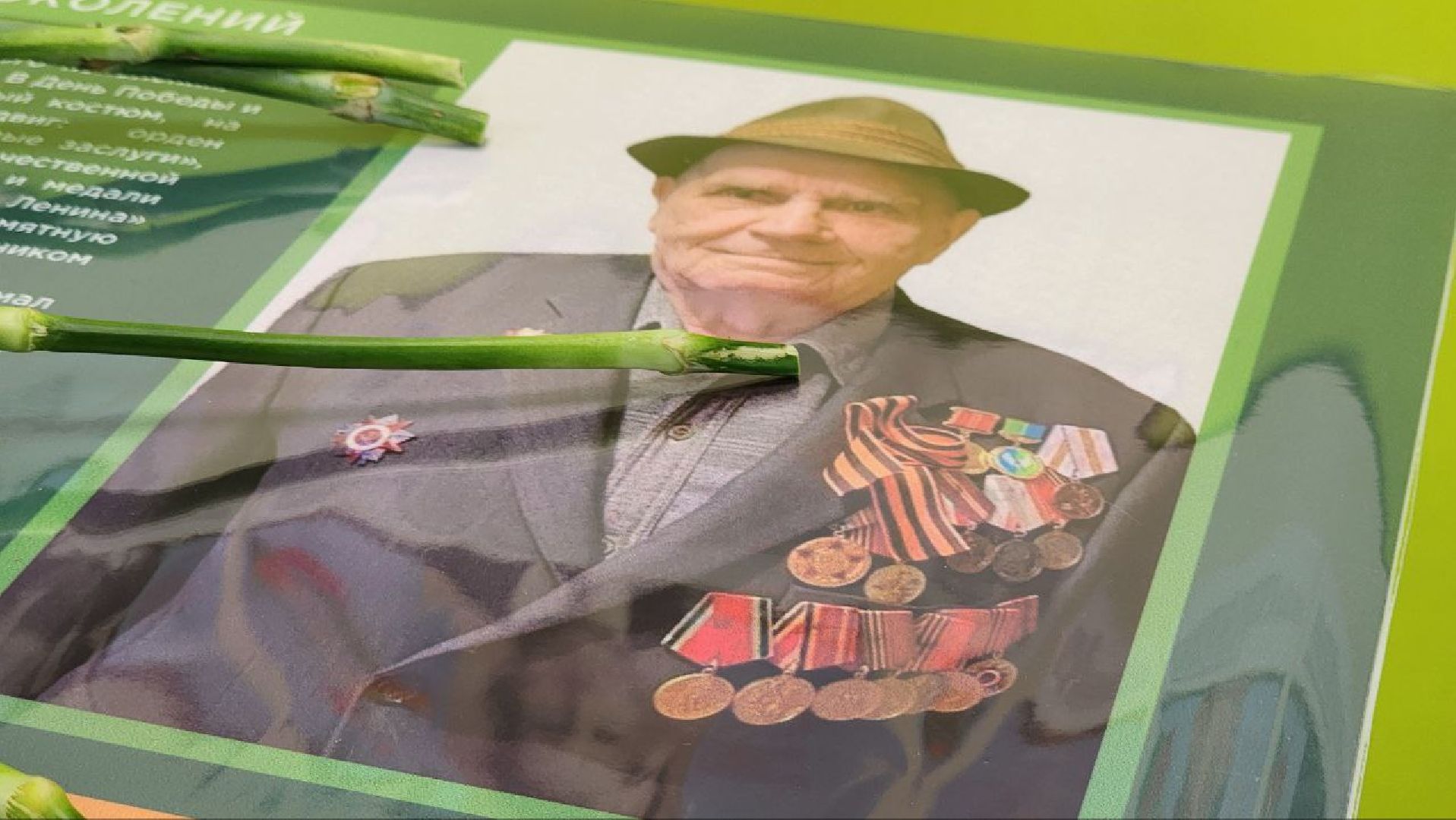 луховицы, парта героя, красная пойма, аграрно-промышленный техникум,