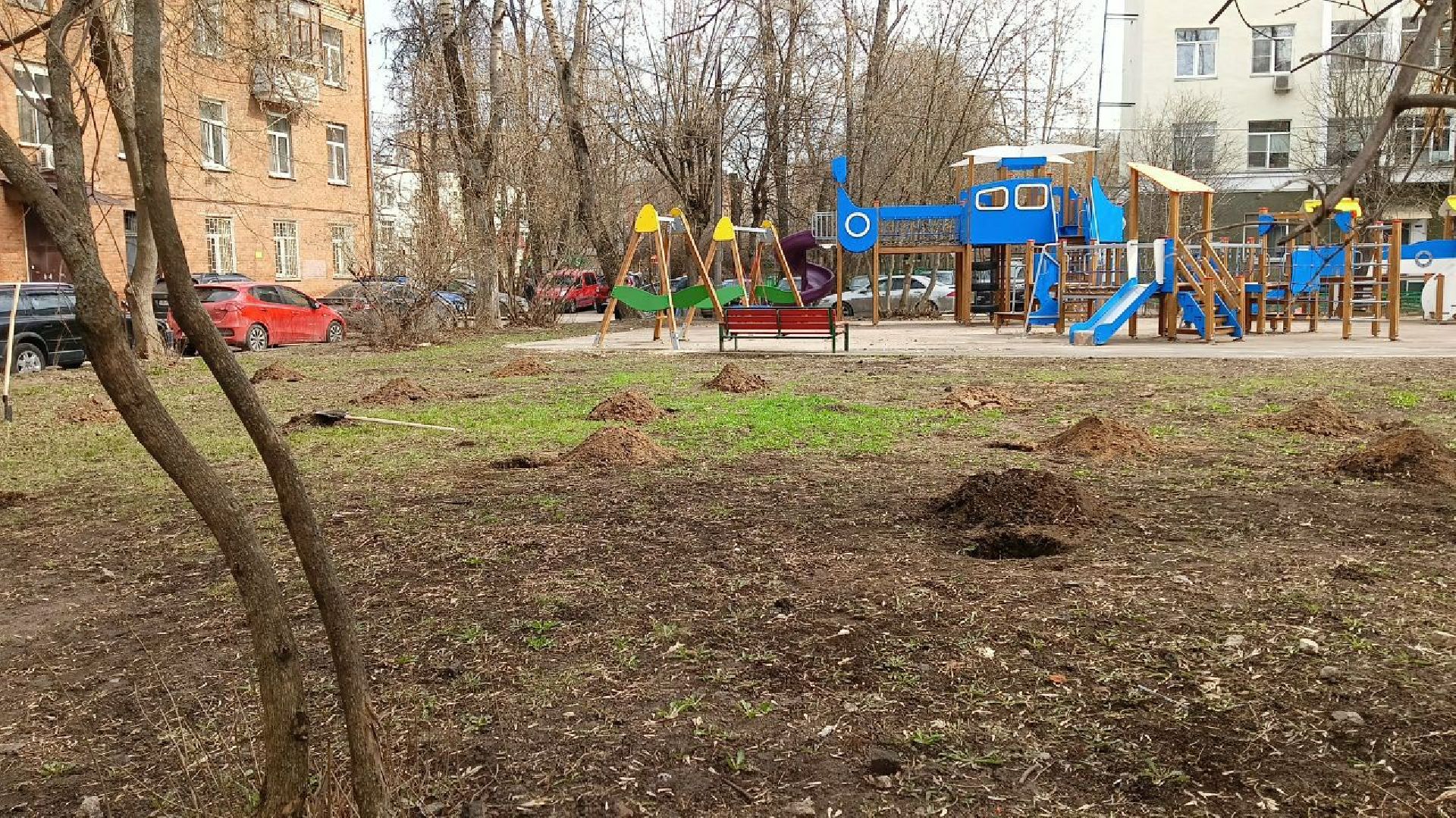 Долгопрудный, черешни, посадка