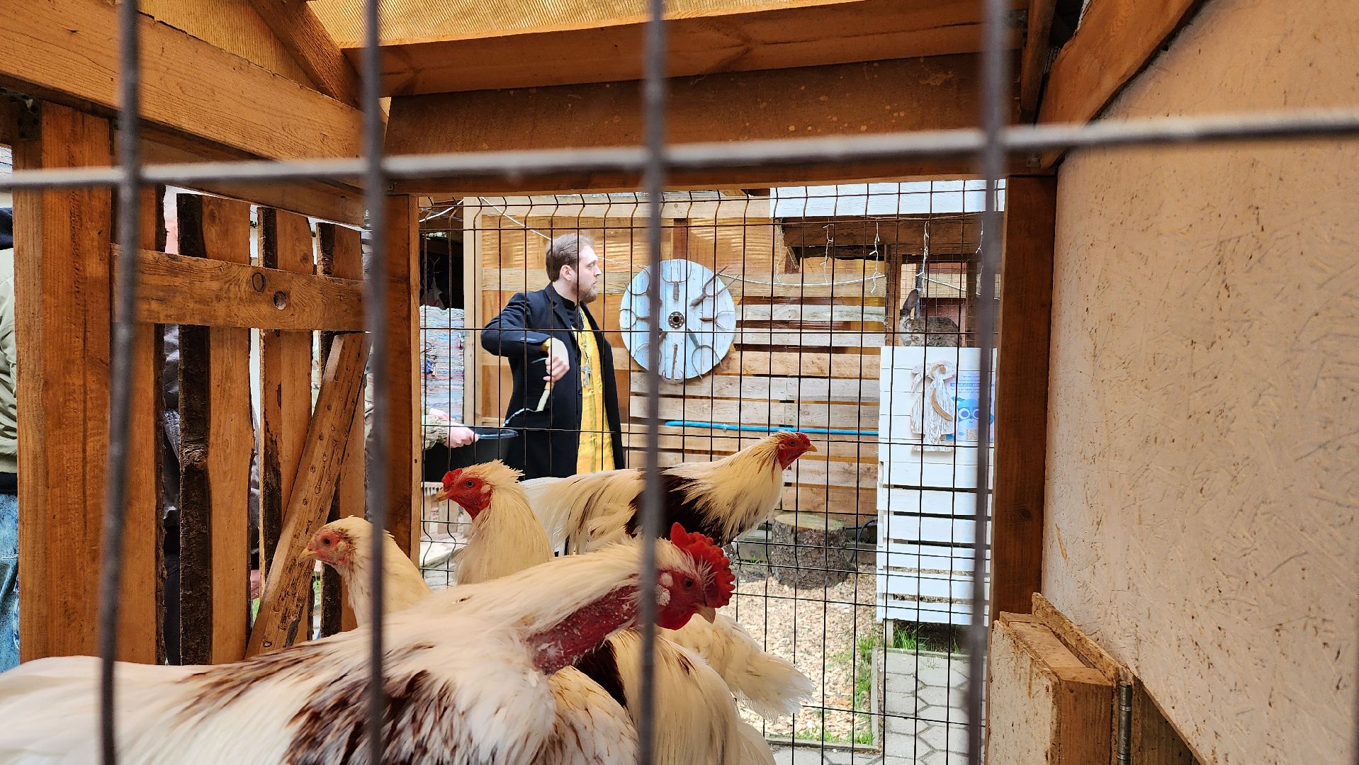 эко ферма, зоопарк, животные, православие, культура, святая вода, обряд, освящение, домодедово, подмосковье ,