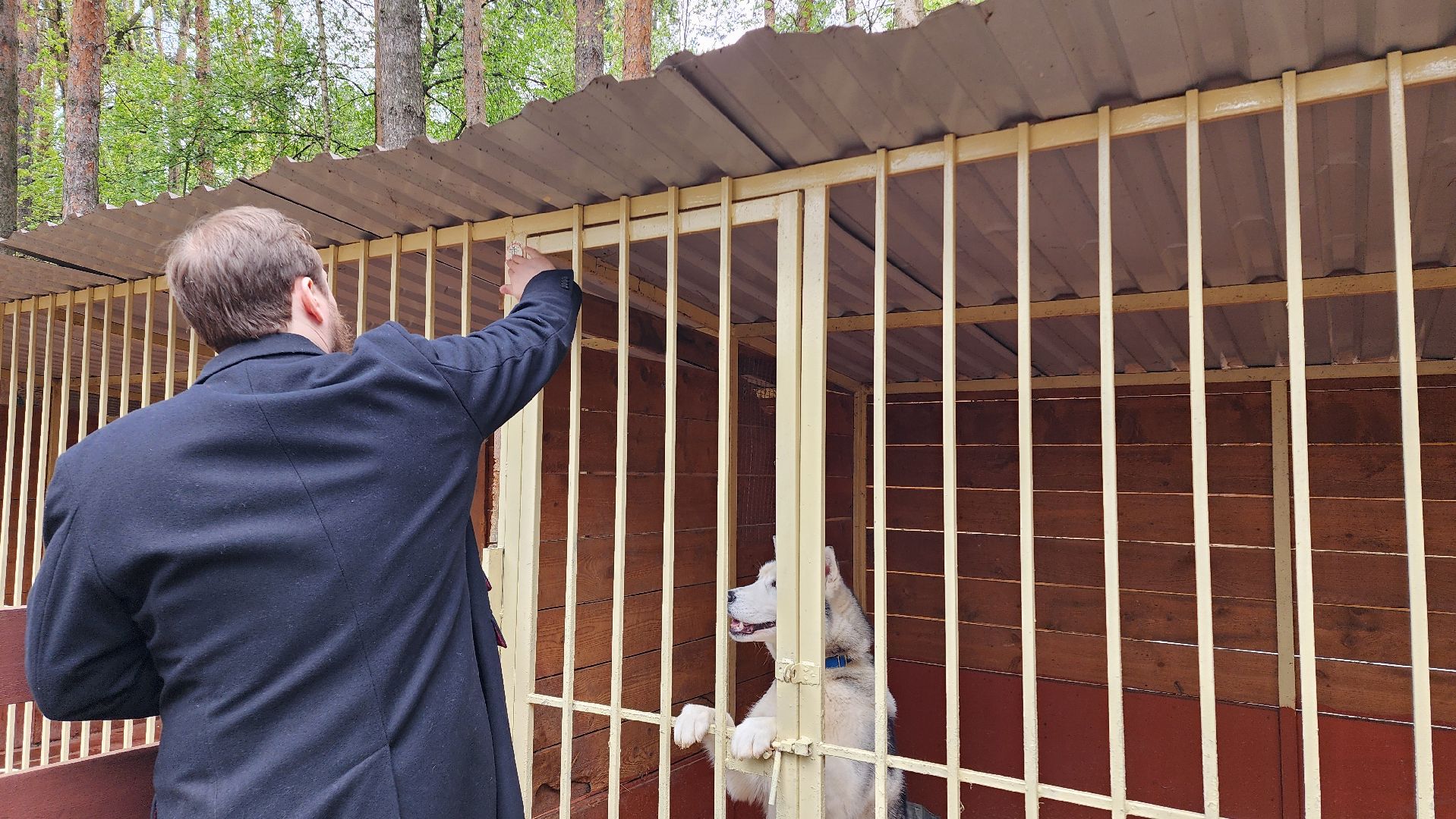 эко ферма, зоопарк, животные, православие, культура, святая вода, обряд, освящение, домодедово, подмосковье ,