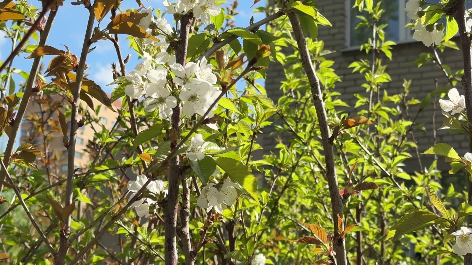 реутов, советская, реконструкция теплосети, благоустройство,