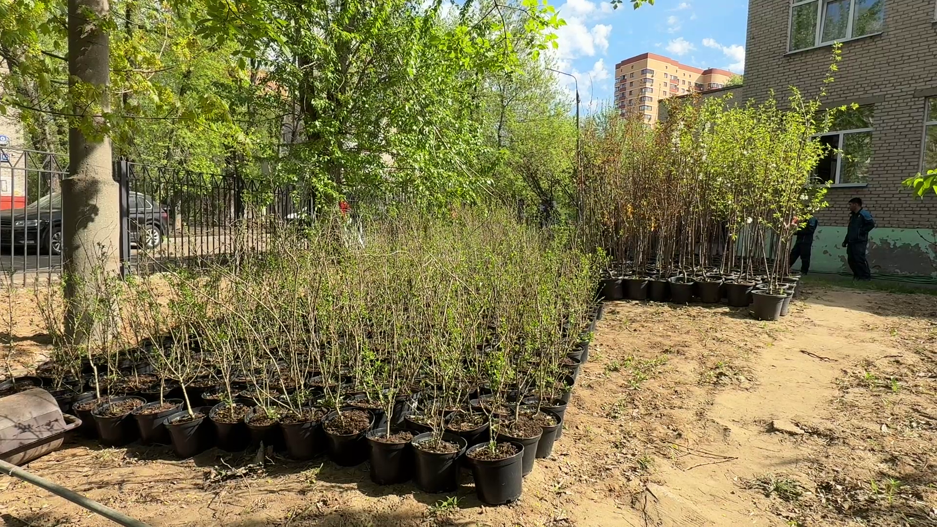 реутов, советская, реконструкция теплосети, благоустройство,