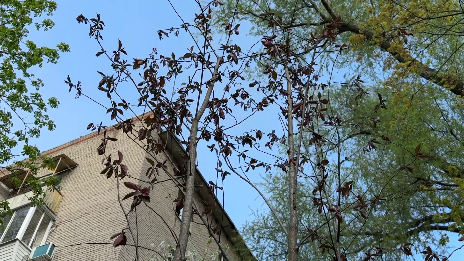 реутов, советская, реконструкция теплосети, благоустройство,