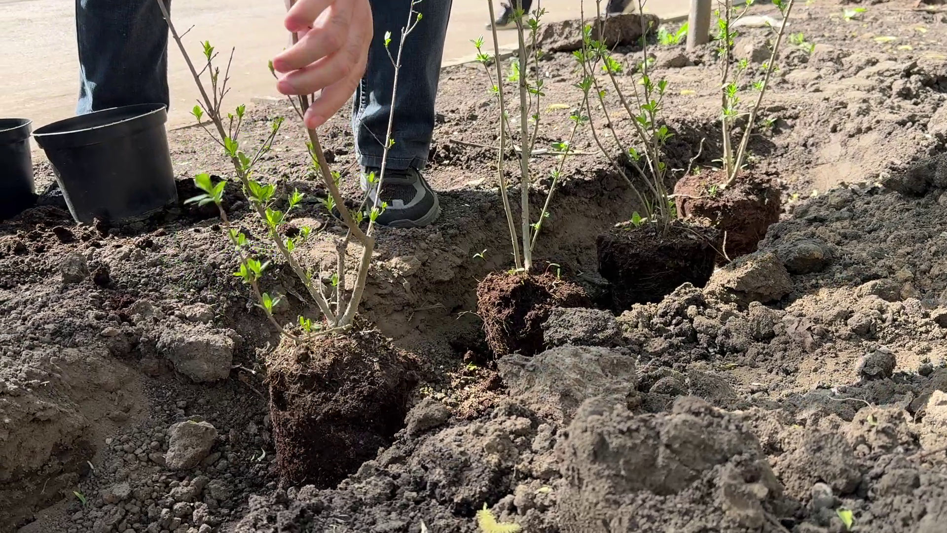 реутов, советская, реконструкция теплосети, благоустройство,