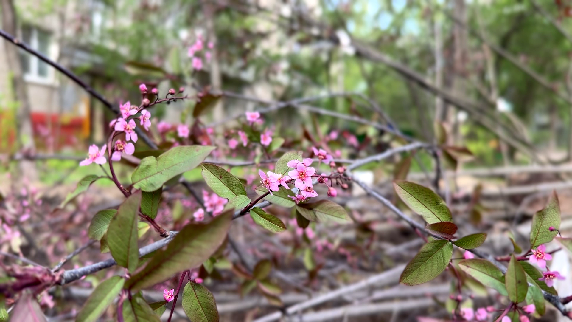 реутов, советская, реконструкция теплосети, благоустройство,