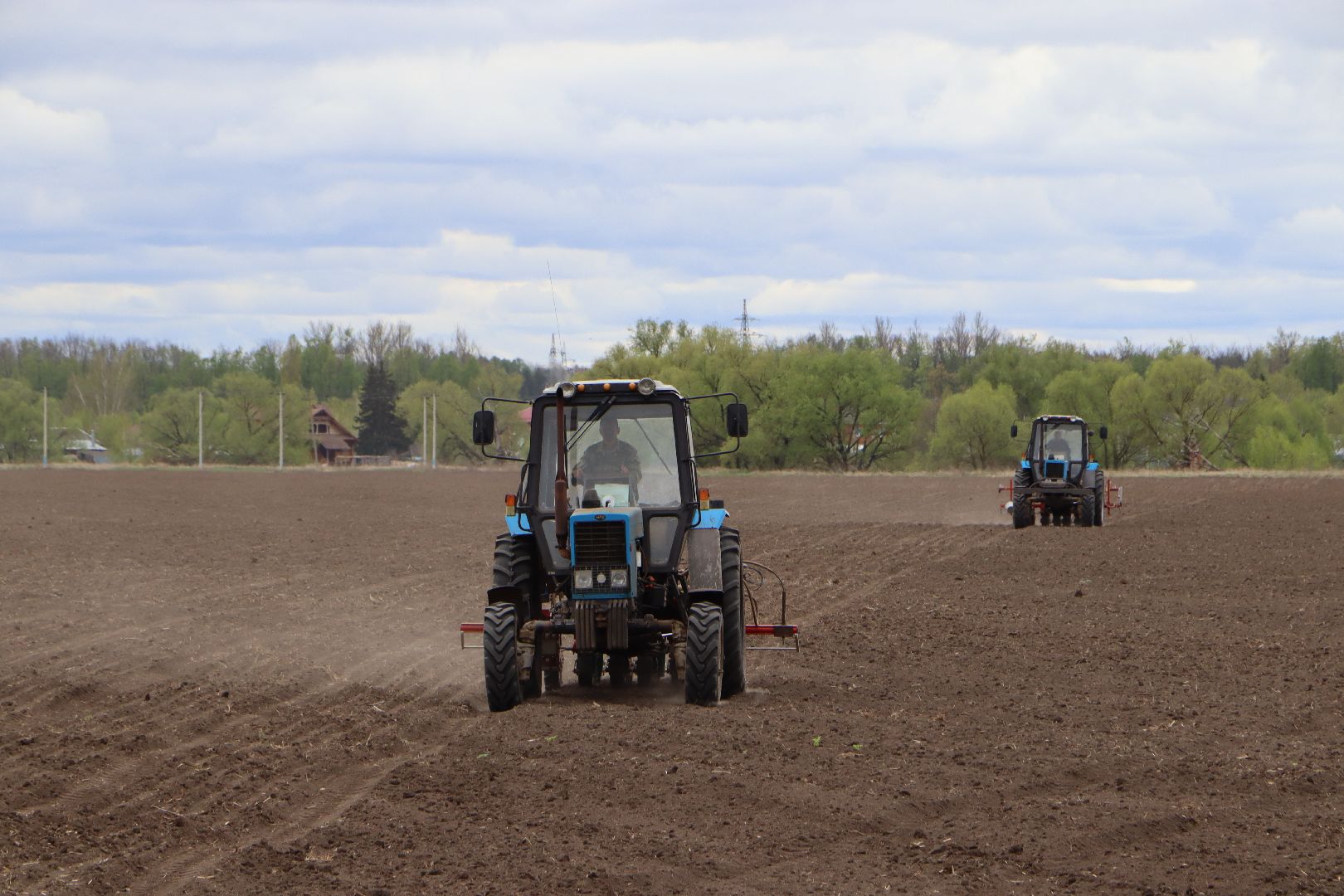 сельское хозяйство,  серебряные пруды, овощеводство,