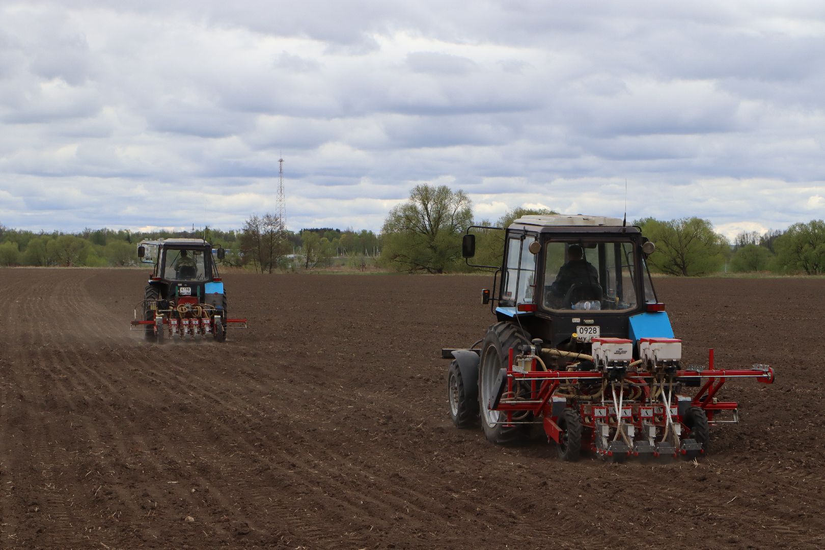 сельское хозяйство,  серебряные пруды, овощеводство,