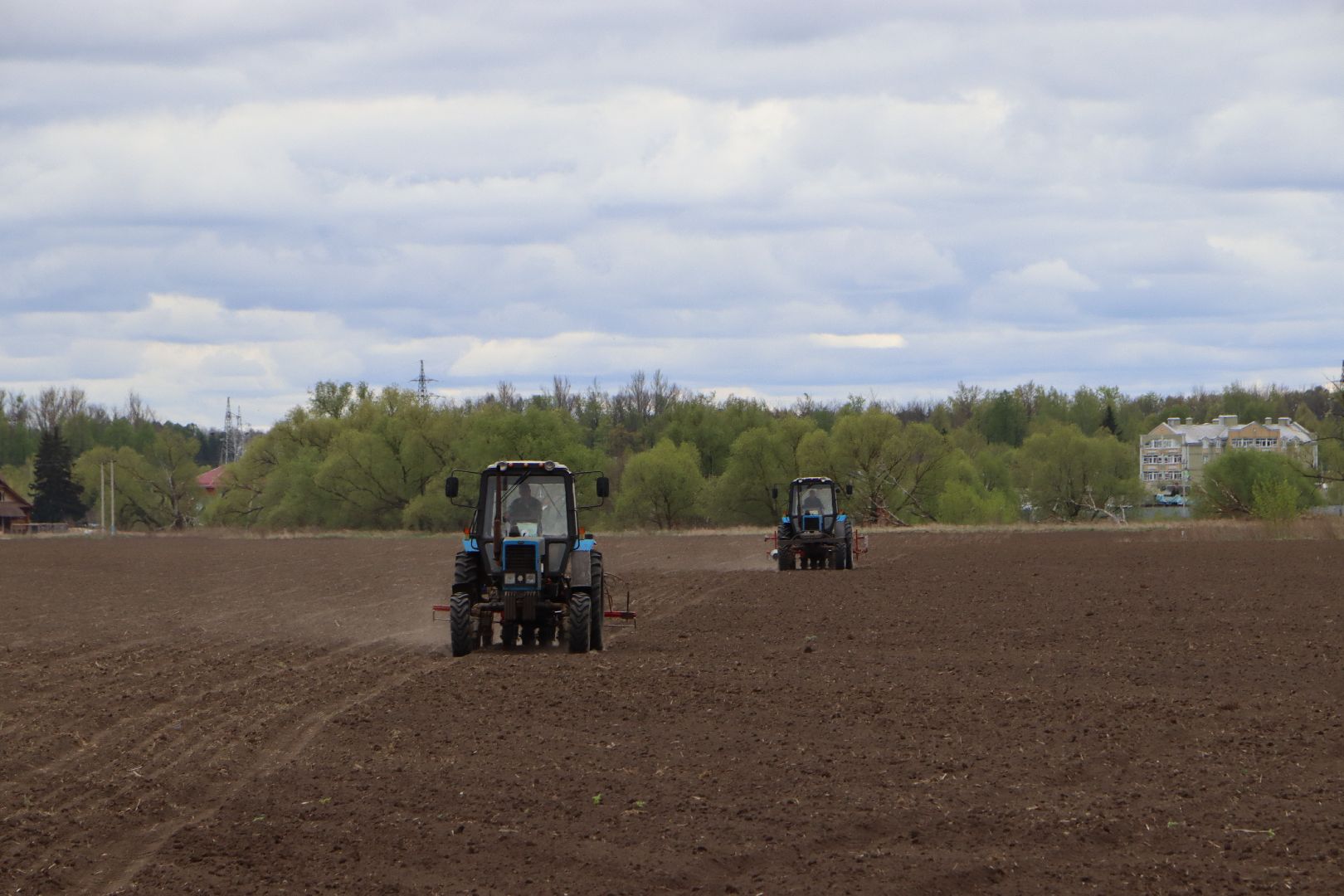 сельское хозяйство,  серебряные пруды, овощеводство,