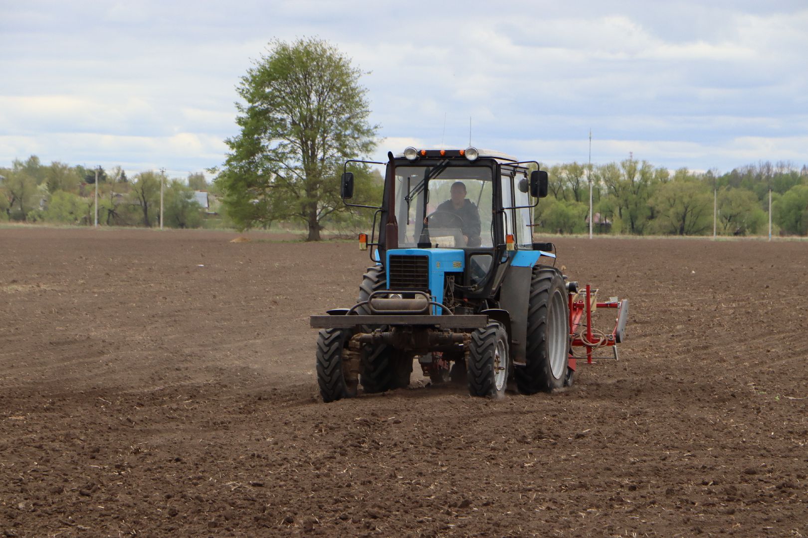сельское хозяйство,  серебряные пруды, овощеводство,