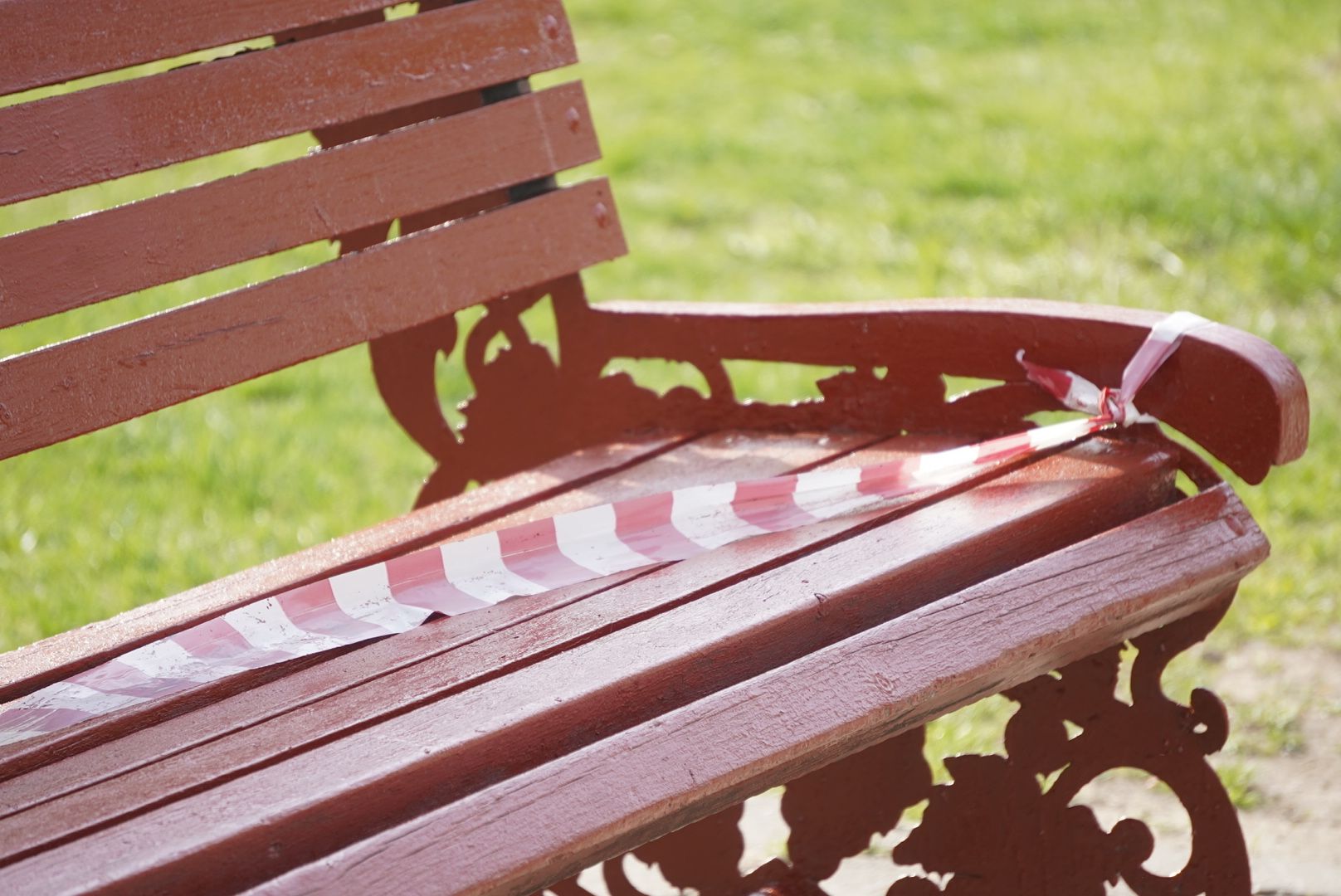 павловский  посад, благоустройство, парк,