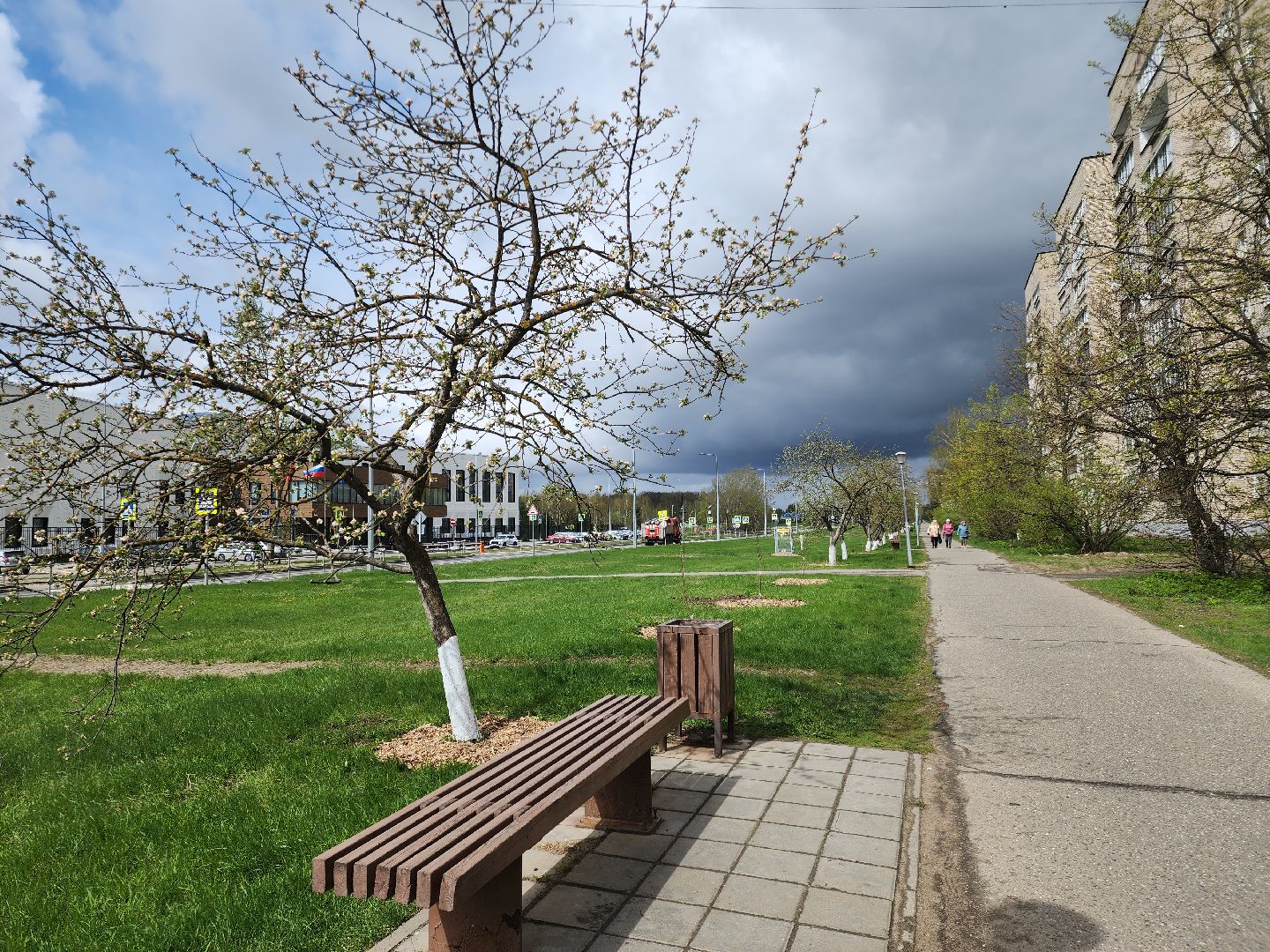 Черноголовка,  Субботник, Яблони,