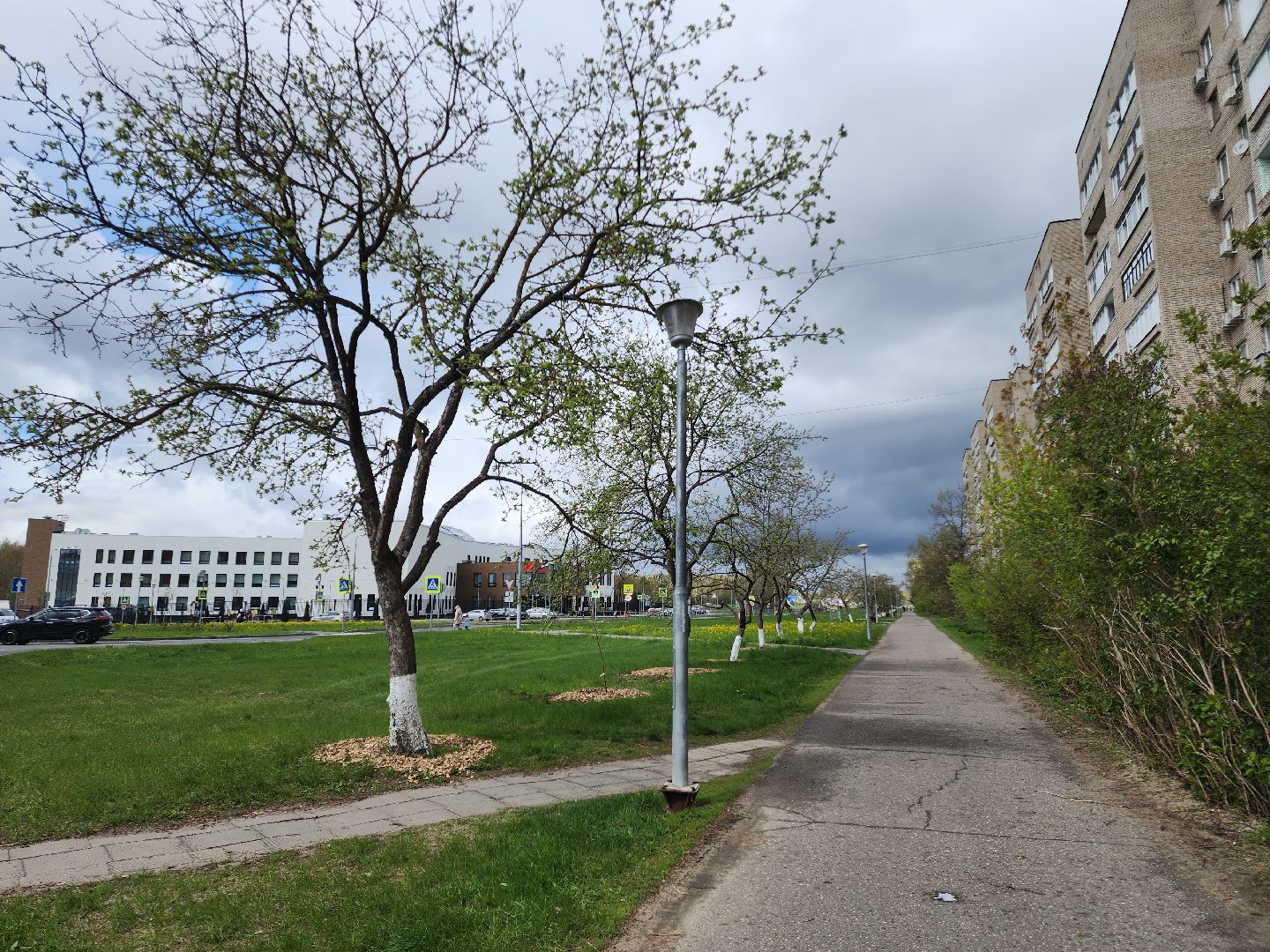 Черноголовка,  Субботник, Яблони,