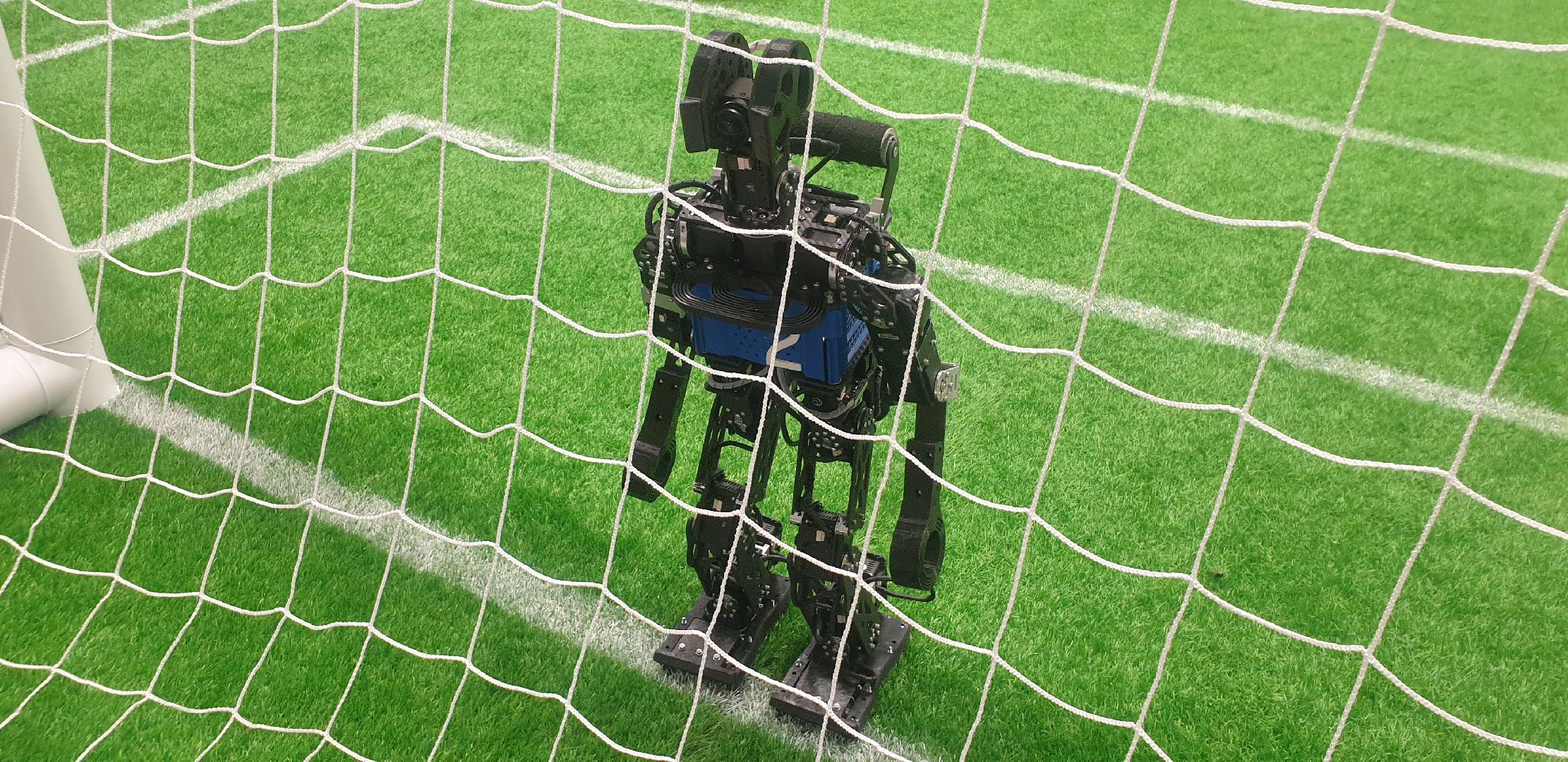 Долгопрудный, Физтех, роботы, алгоритм