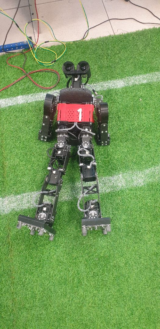 Долгопрудный, Физтех, роботы, алгоритм