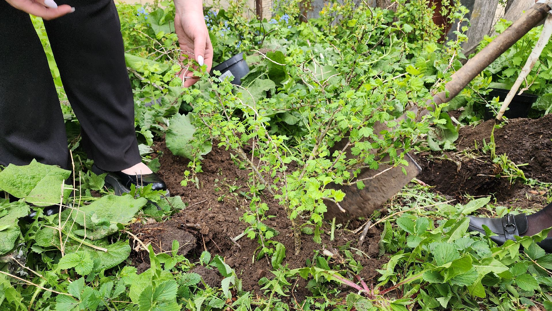 кашира, ветеран, вов, день победы, ремонт, волонтеры,