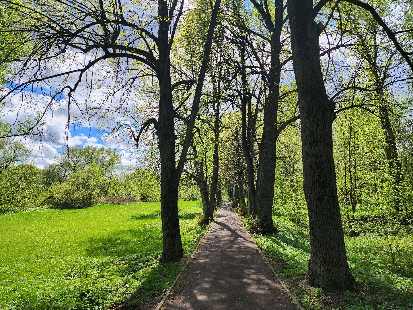 Подольск, Усадьба Плещеево, Чайковский,