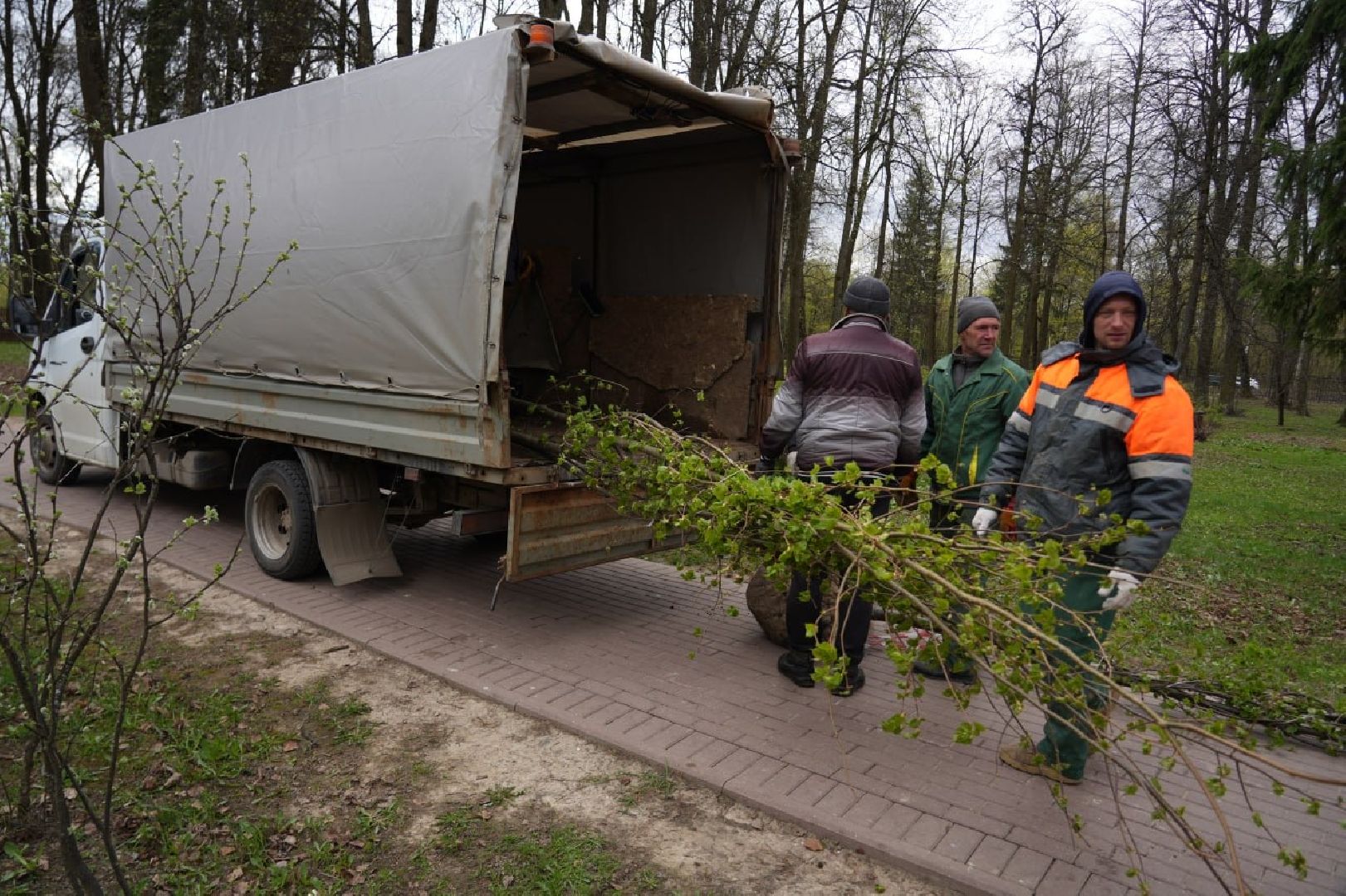 парки подмосковья, парки мо, благоустройство, сергиево-посадский городской округ, сергиев посад, летний сезон,