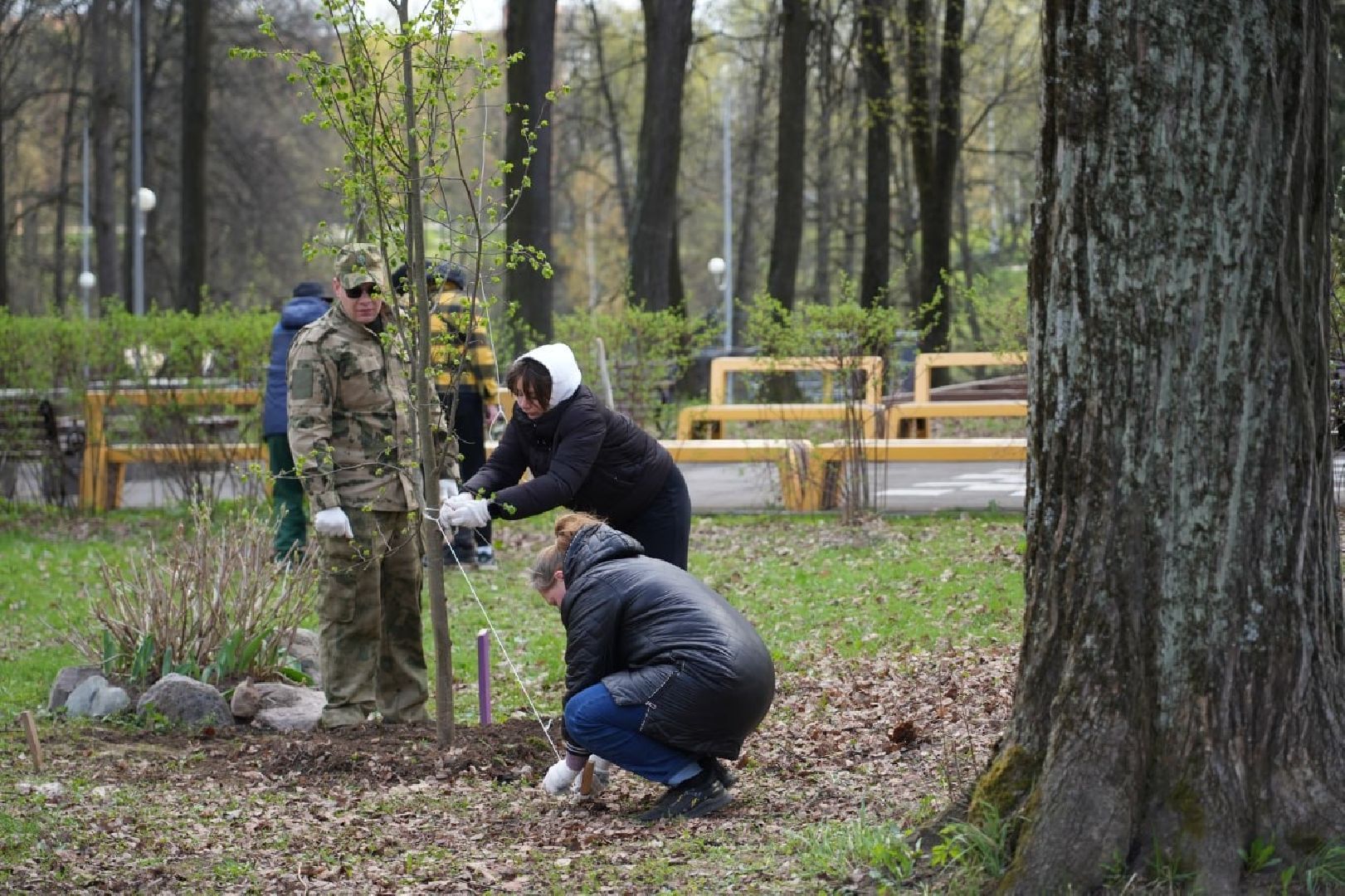 парки подмосковья, парки мо, благоустройство, сергиево-посадский городской округ, сергиев посад, летний сезон,