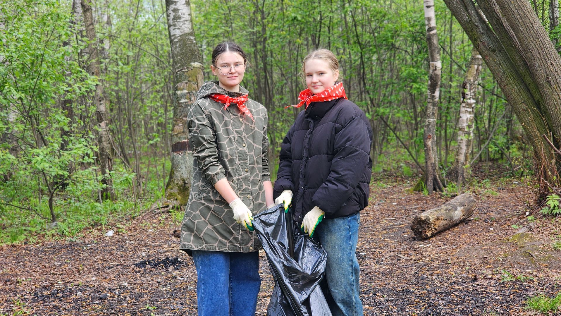 экология, субботник, лосино-петровский,
