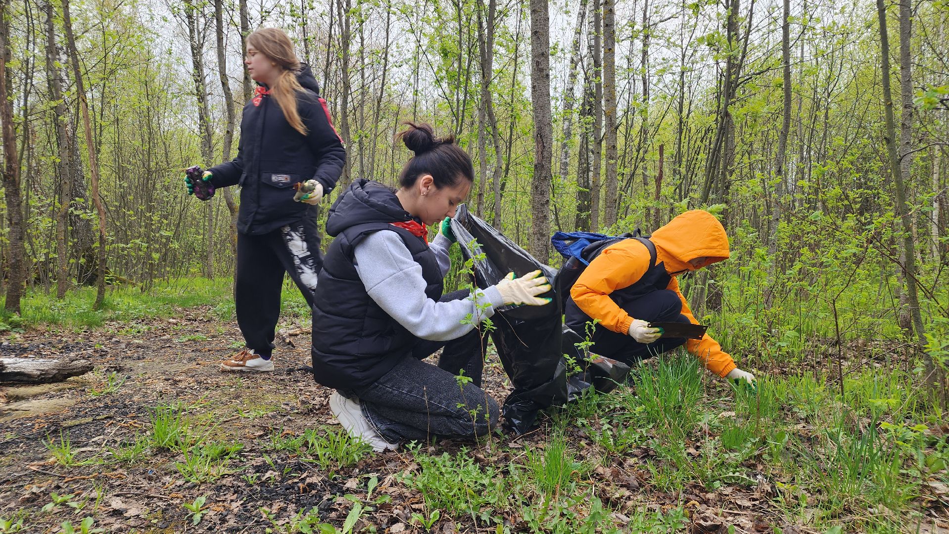 экология, субботник, лосино-петровский,