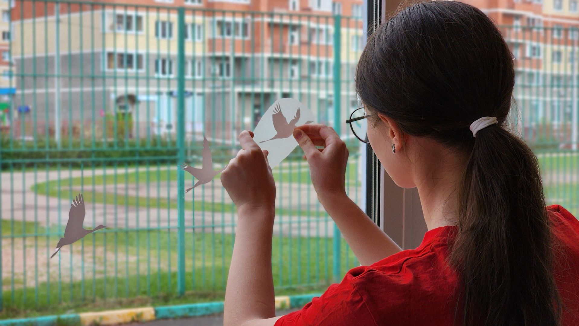 школа, окна Победы, Движение первых, лосино-петровский,