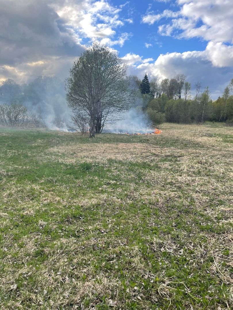 шаховская, героизм, горящее поле, пожар, огонь,