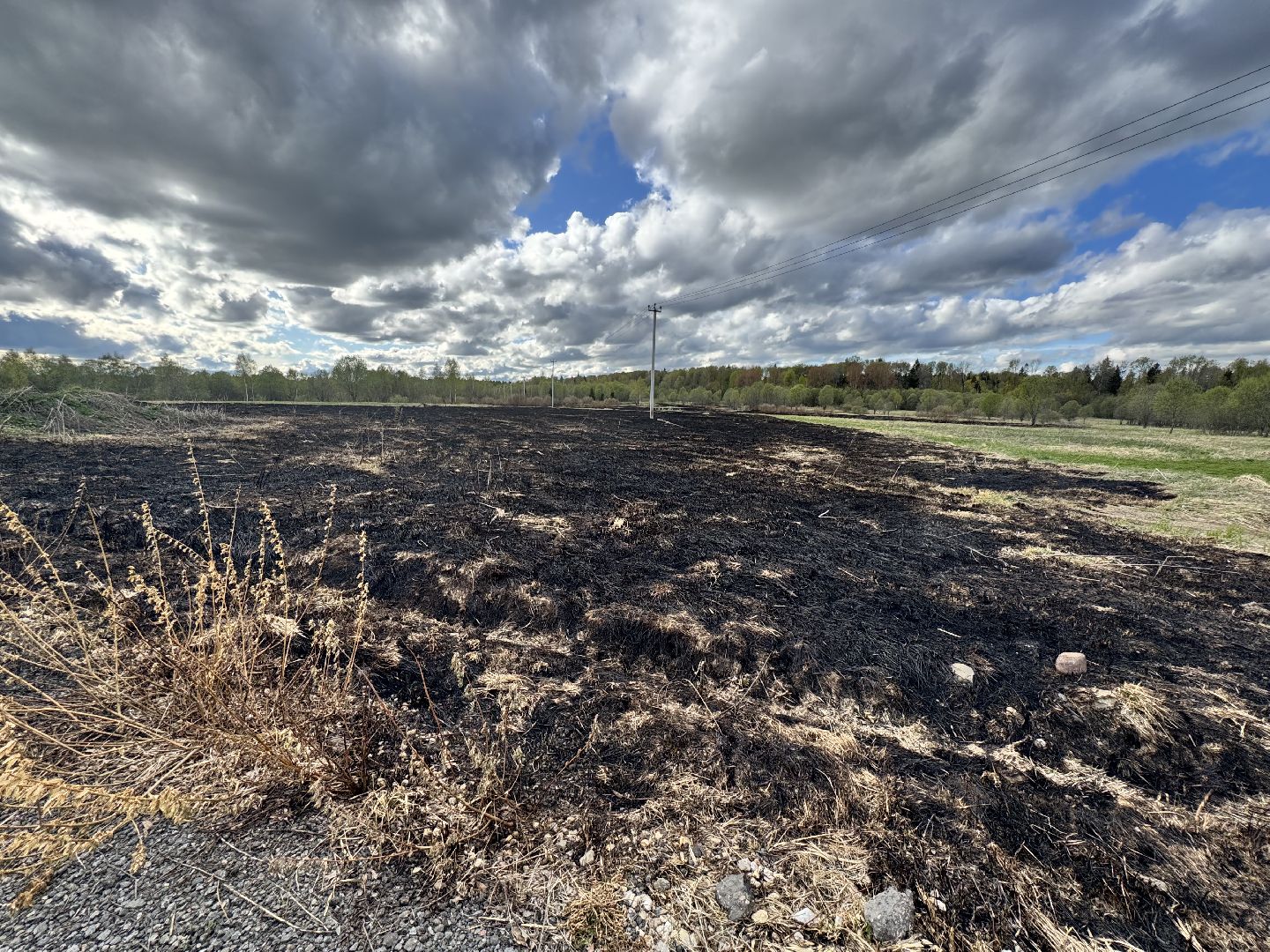 шаховская, героизм, горящее поле, пожар, огонь,