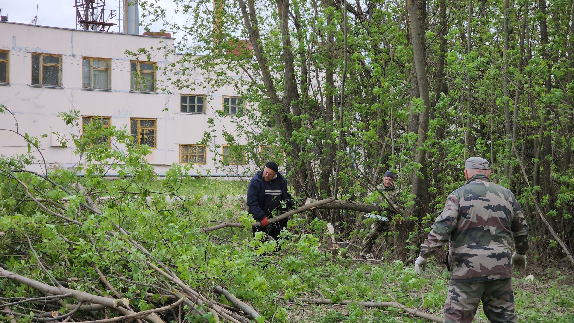 Егорьевск , Подмосковье , Московская область ,