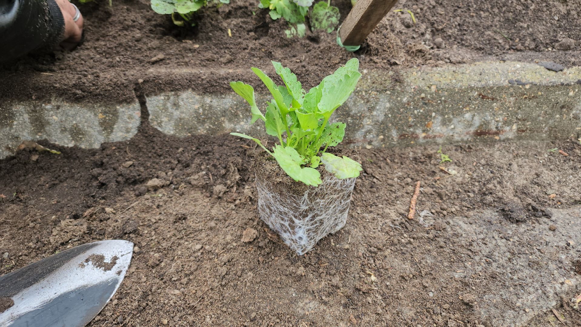 Егорьевск , Подмосковье , Московская область ,