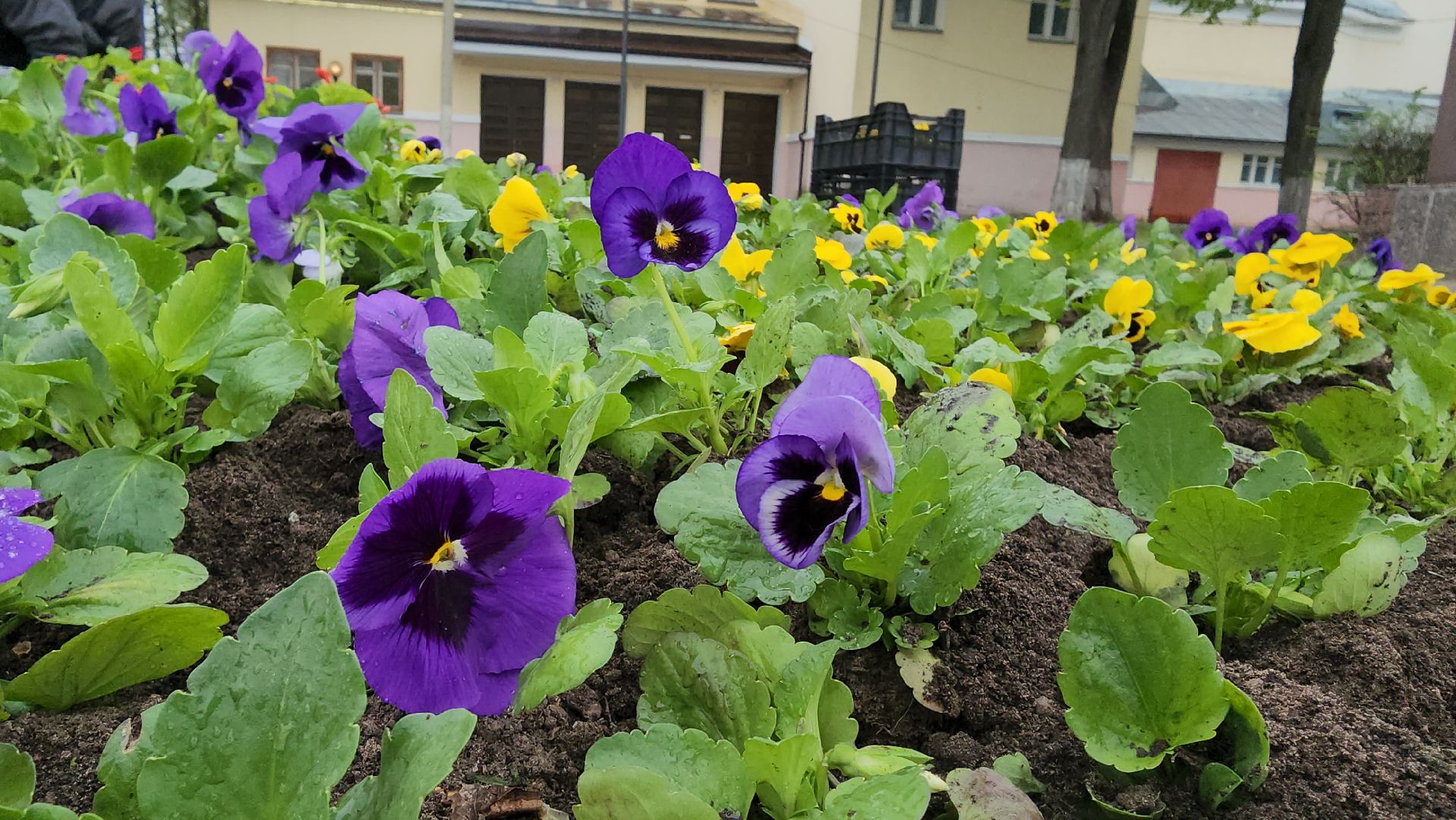 Егорьевск , Подмосковье , Московская область ,