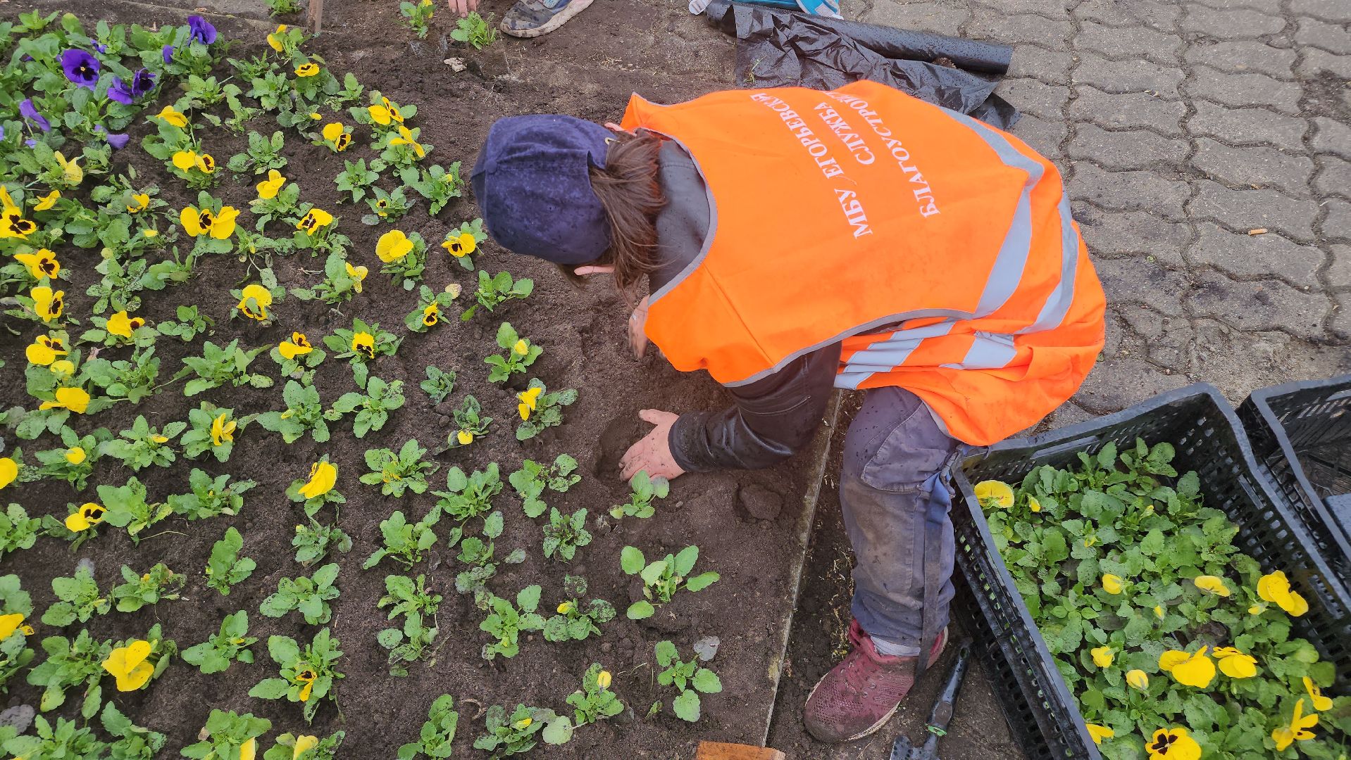 Егорьевск , Подмосковье , Московская область ,