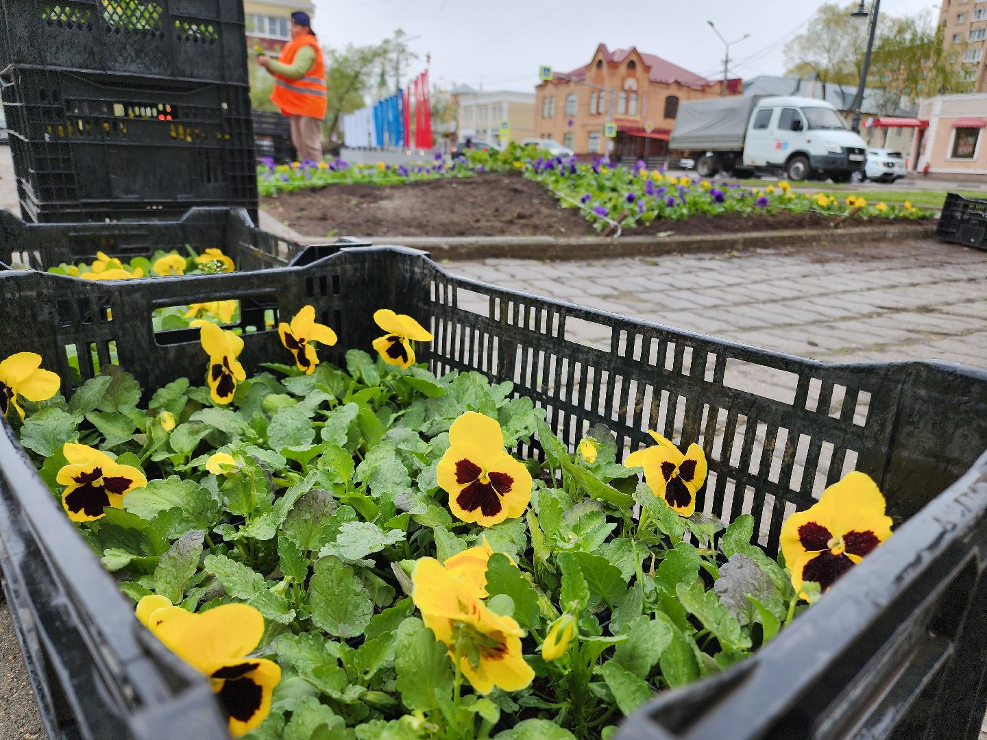 Егорьевск , Подмосковье , Московская область ,