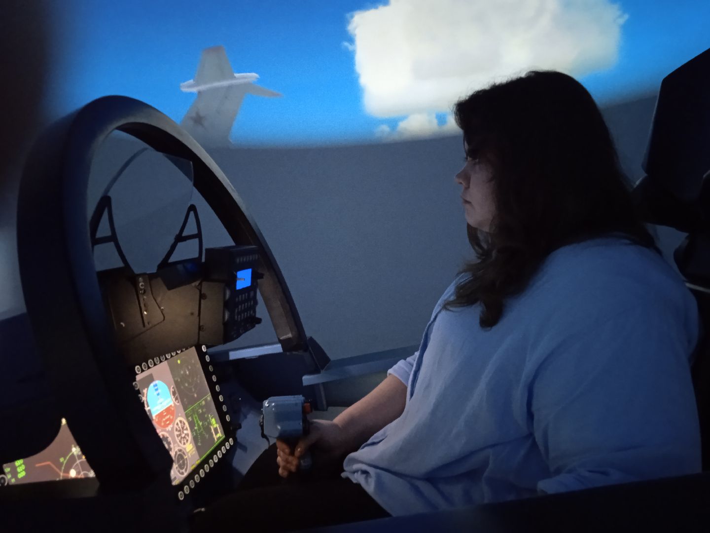 ЦАГИ, пилотажные, стенды, день, прессы, самолёты, испытания