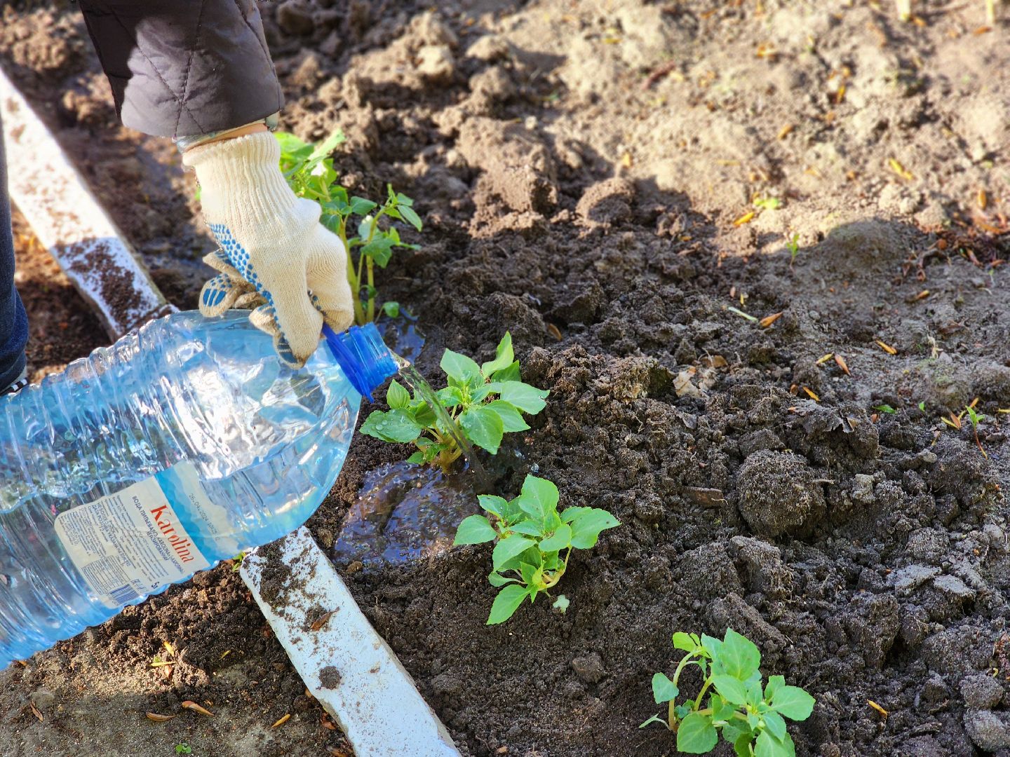 воскресенск, благоустройство , волонтеры,